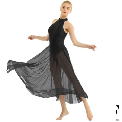 Dainty Dancer leotard