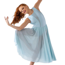 Load image into Gallery viewer, Cinderella leotard - available in multiple colours
